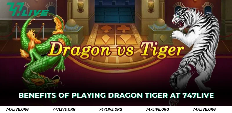 Benefits of Playing Dragon Tiger at 747Live
