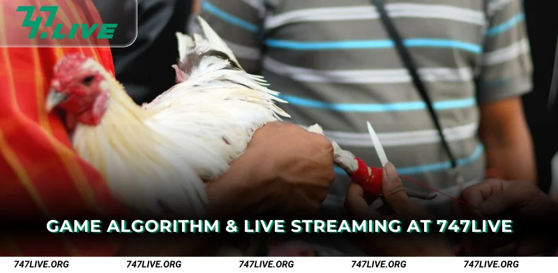 Game Algorithm Live Streaming at 747Live