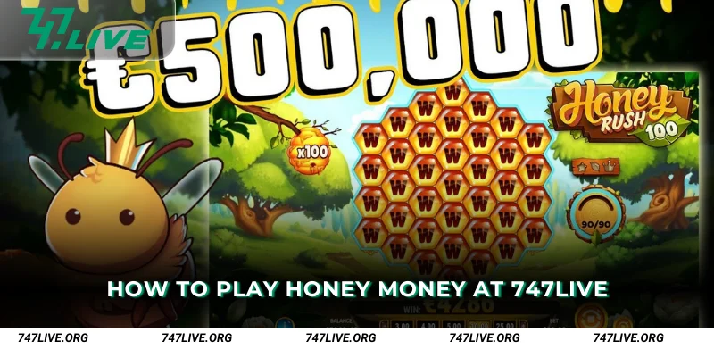 How to Play Honey Money at 747Live