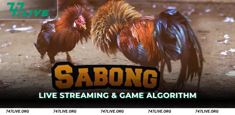 Live Streaming and Game Algorithm