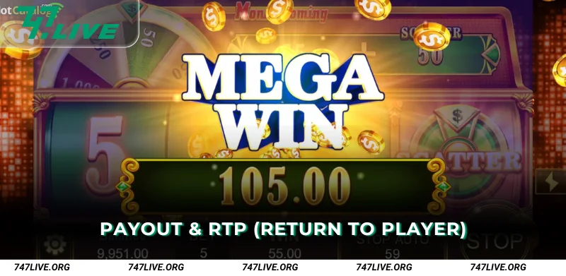 Payout and RTP Return to Player