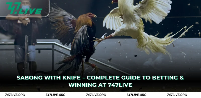 Rules and Format of Sabong with Knife