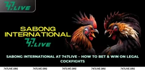 Sabong International at 747Live
