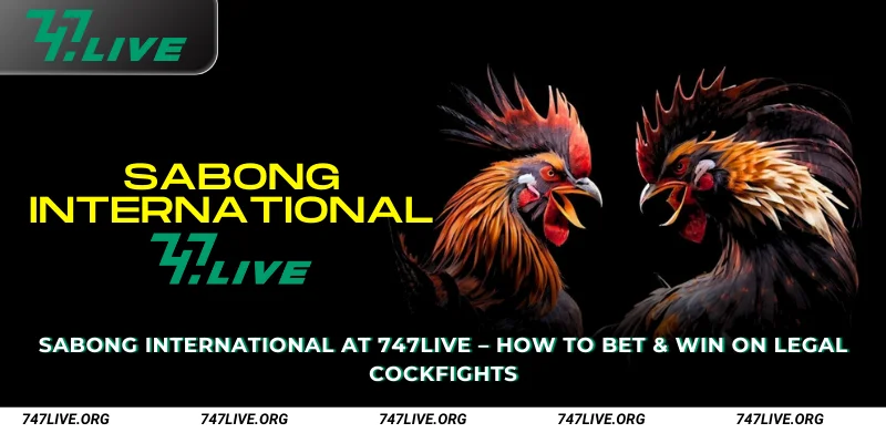 Sabong International at 747Live