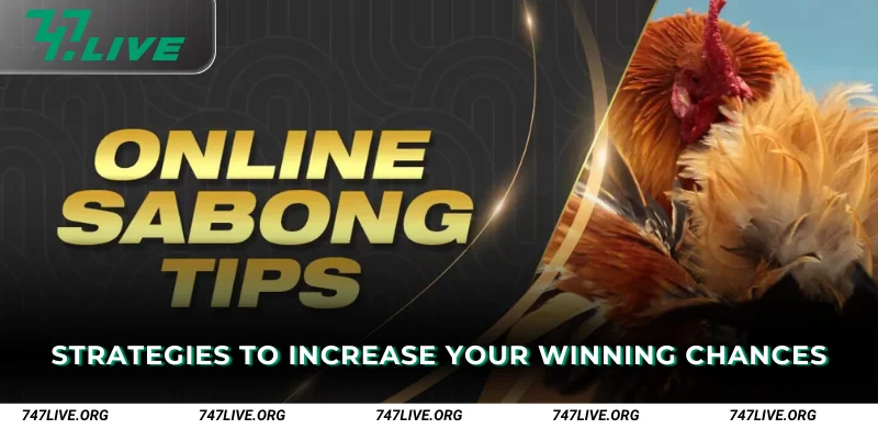 Strategies to Increase Your Winning Chances