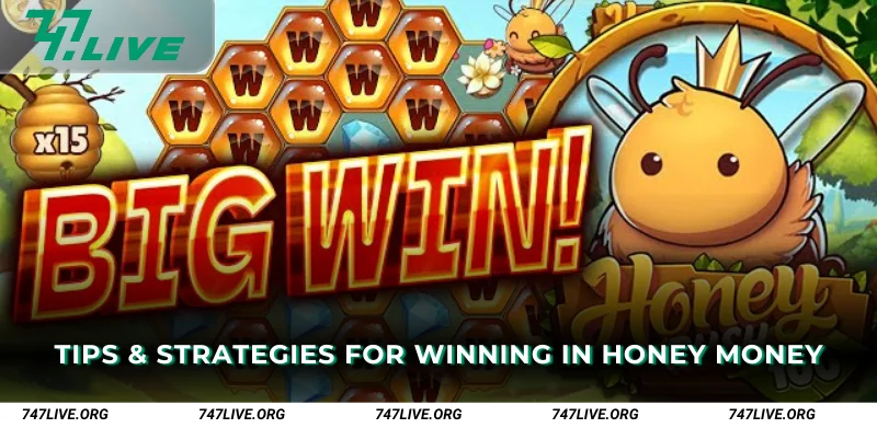 Tips and Strategies for Winning in Honey Money