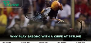 Why Play Sabong with a Knife at 747Live