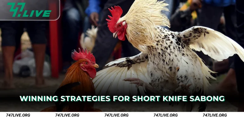 Winning Strategies for Short Knife Sabong
